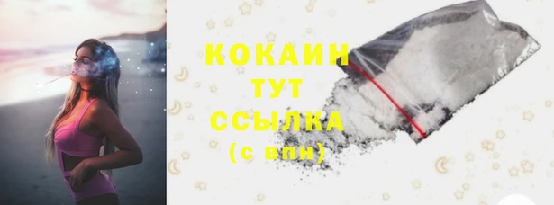 кокс Няндома