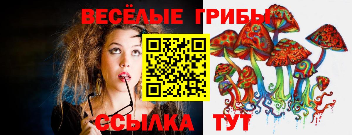 Галлюциногенные грибы Cubensis  Вход с VPN  Усолье-Сибирское 